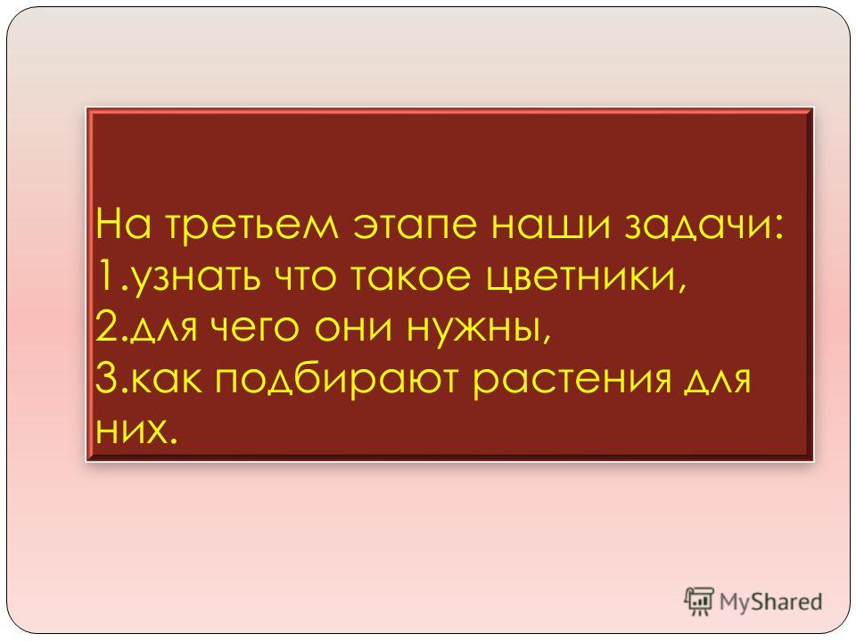 Чем подкормить баклажаны и перцы в августе Чем подкормить баклажаны и перцы в августе