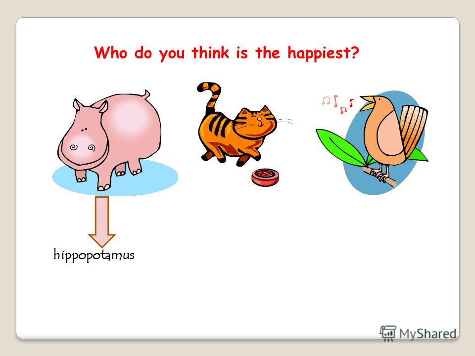 who do you think is most who do you think is most