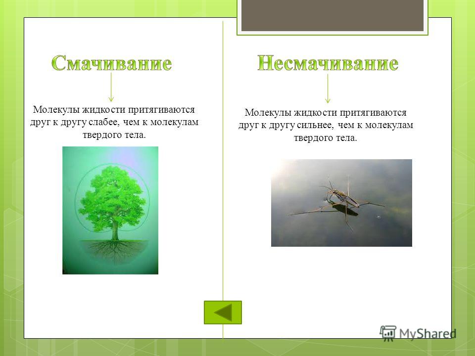 Какое явление называется смачиванием несмачиванием приведите примеры Презентация на тему: "1.Опрос.Опрос 2.Проверка домашнего задания. 3.Задача на со