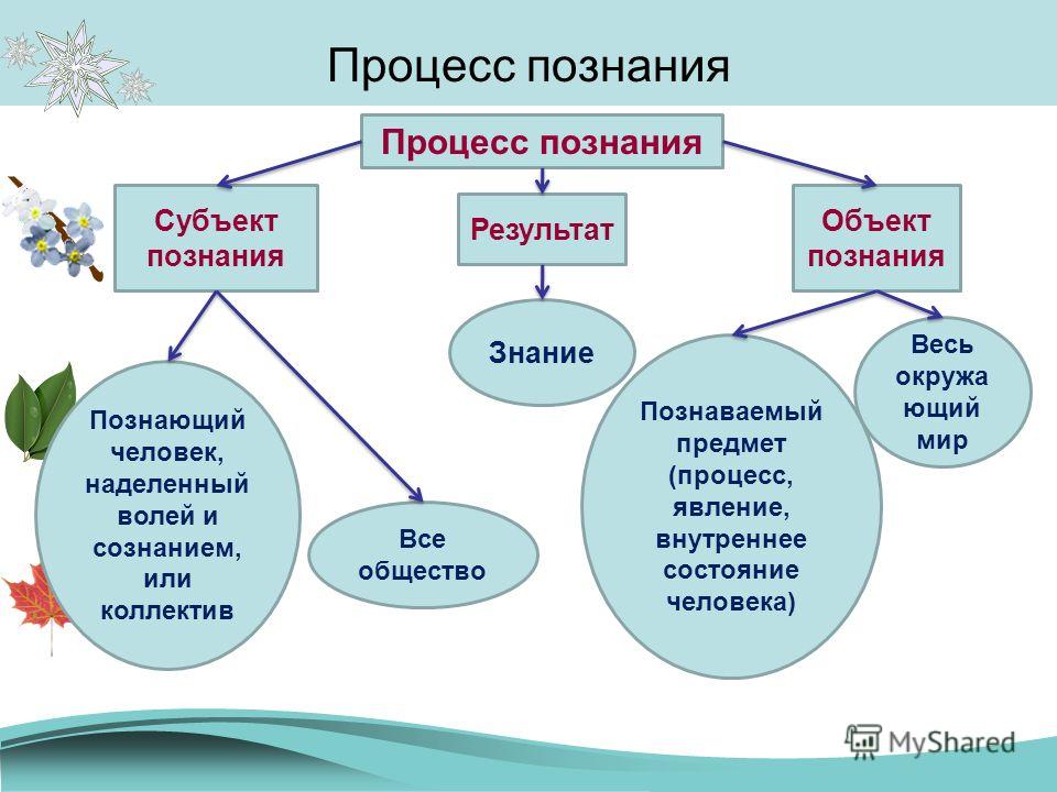 Схема соотношения и взаимосвязи этапов процесса познания и звеньев учебного процесса Схема соотношения и взаимосвязи этапов процесса познания и звеньев учебного процесса