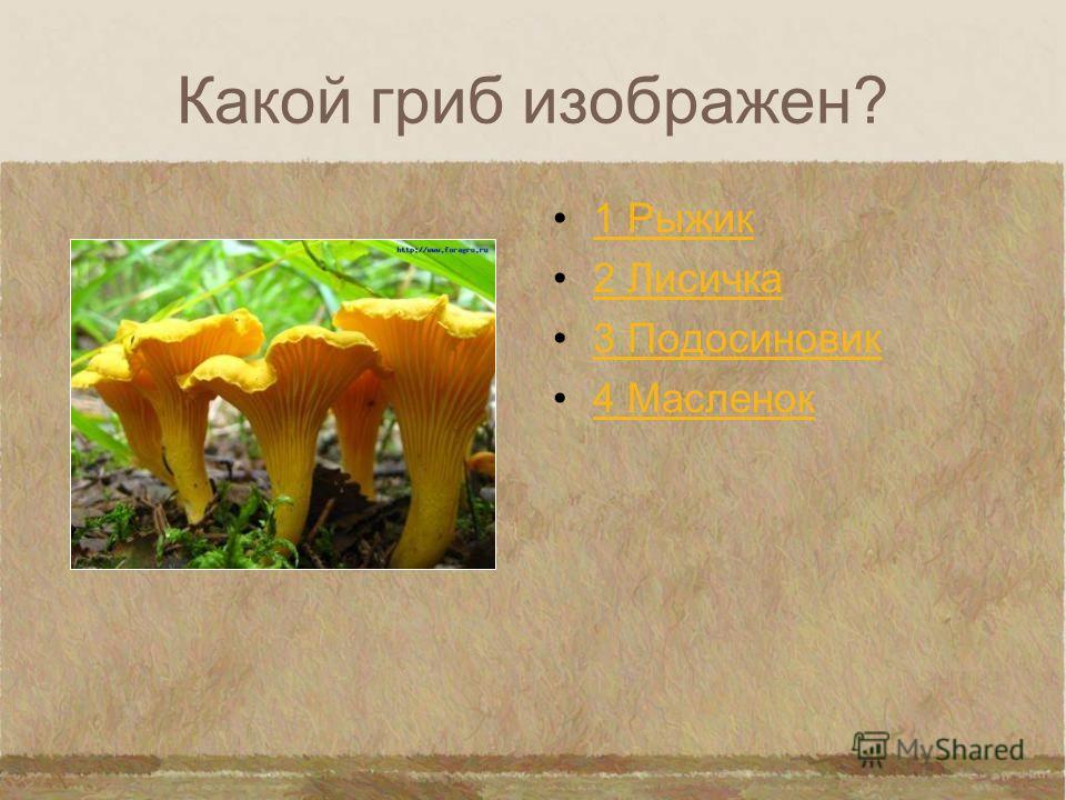 Какой гриб изображен? 1 Бледная поганка 2 Шампиньон 3 Трюфель 4 Мухомор