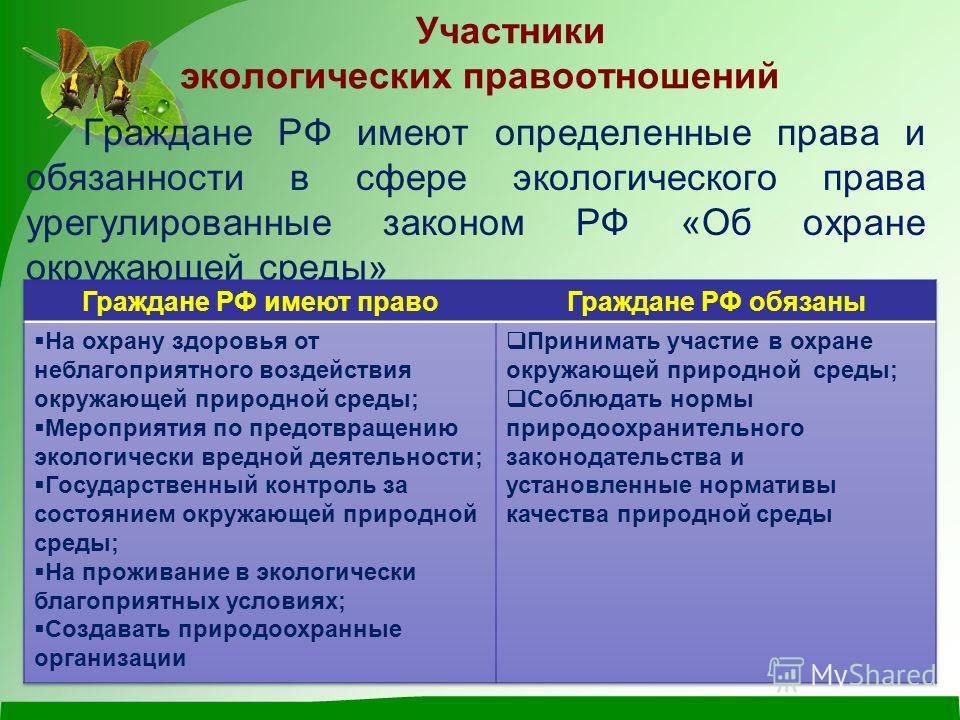 Экологические обязанности государства косвенные вопросы