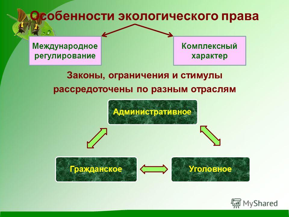 отовые домашние задания по алгебре за 7 класс