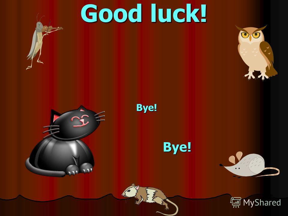 Good luck! Bye! Bye!