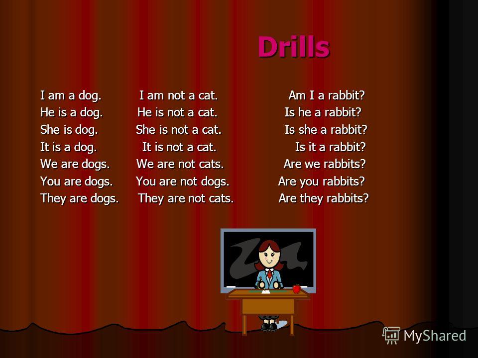 Drills I am a dog. I am not a cat. Am I a rabbit? He is a dog. He is not a cat. Is he a rabbit? She is dog. She is not a cat. Is she a rabbit? It is a dog. It is not a cat. Is it a rabbit? We are dogs. We are not cats. Are we rabbits? You are dogs. Y