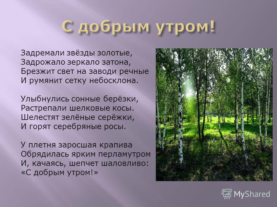 Задремали звёзды золотые, Задрожало зеркало затона, Брезжит свет на заводи речные И румянит сетку небосклона. Улыбнулись сонные берёзки, Растрепали шелковые косы. Шелестят зелёные серёжки, И горят серебряные росы. У плетня заросшая крапива Обрядилась