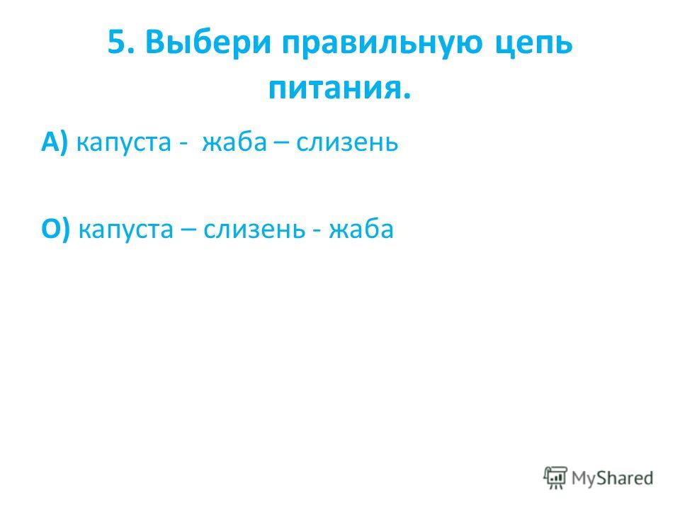 Цепь Питания Капуста Слизень Жаба Правильная