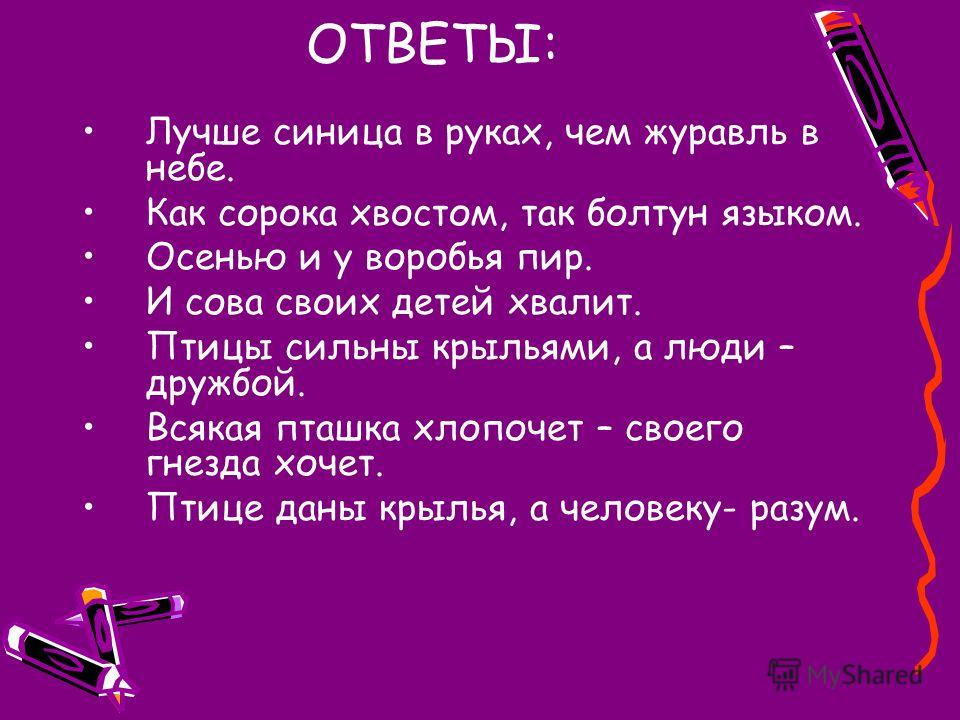 Поговорки о синичках Поговорки о синичках