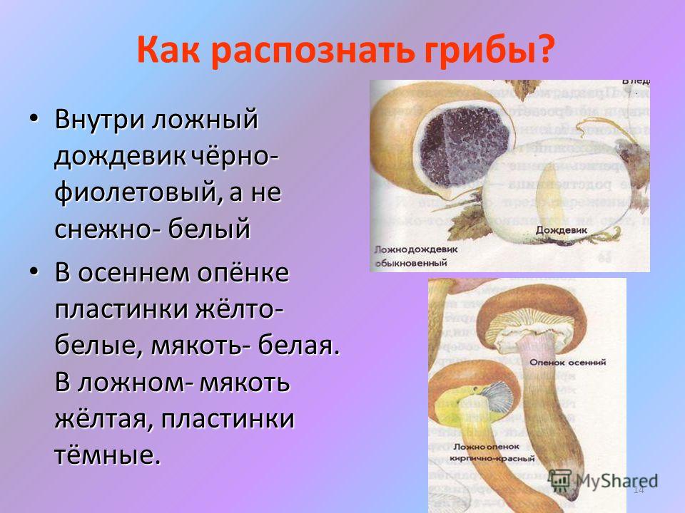 slide_14.jpg