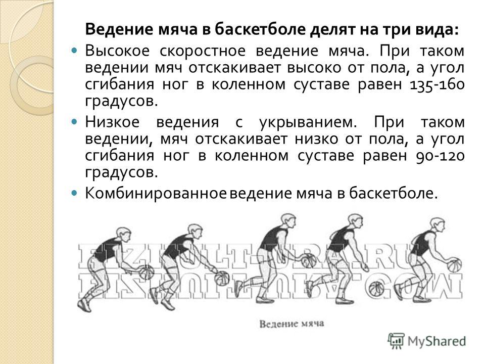 Техника Ведения Мяча В Баскетболе Реферат