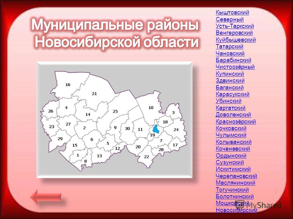 Карта Купинского района (Новосибирская область)