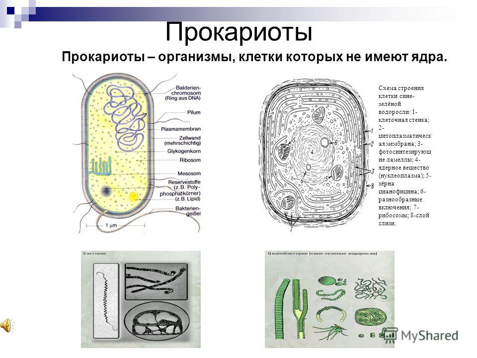 Рецепт для поделок Рецепт для поделок
