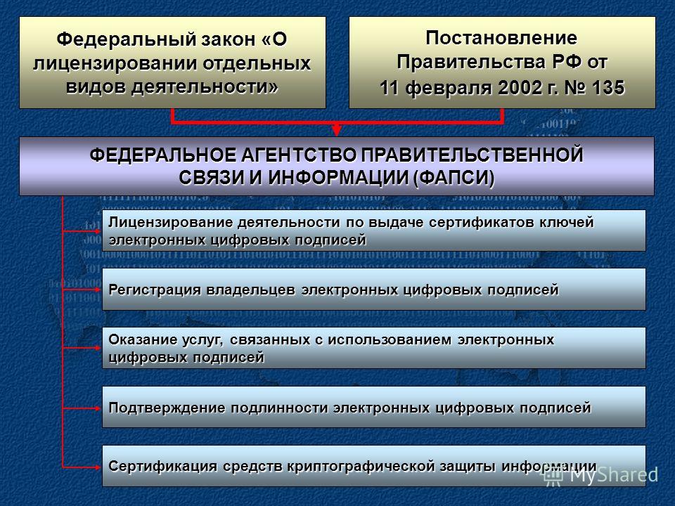 Виды упражнение условие домашних условиях