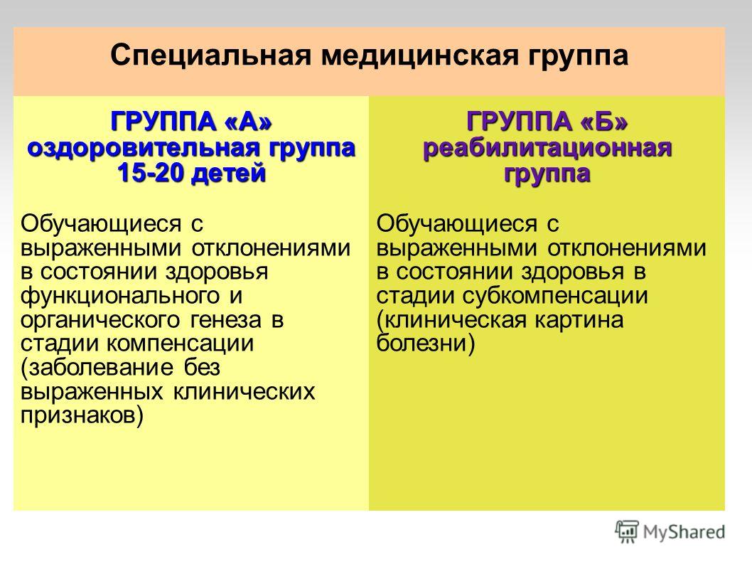 Реферат: Методические рекомендации по работе с учащимися, отнесёнными к специальной медицинской группе учитель физической культуры Реферат: Методические рекомендации по работе с учащимися, отнесёнными к специальной медицинской группе учитель физической культуры