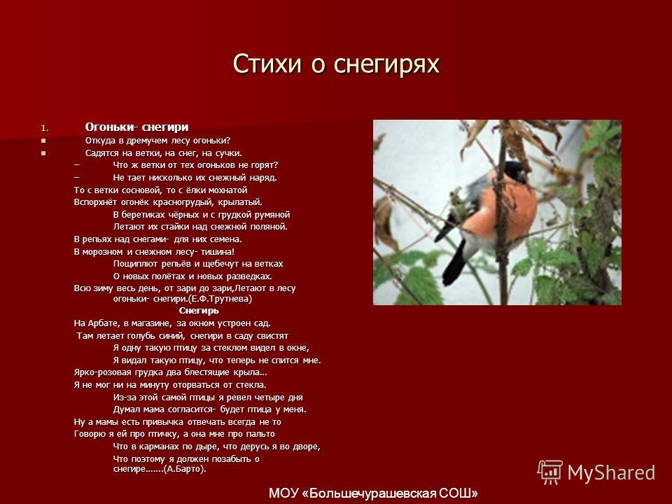 Стих в дремучем Стих в дремучем