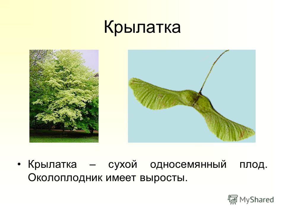 Курение - Как бросить курить? - обсуждение Как уберечь здоровье ребенка в отпуске Форум родителей