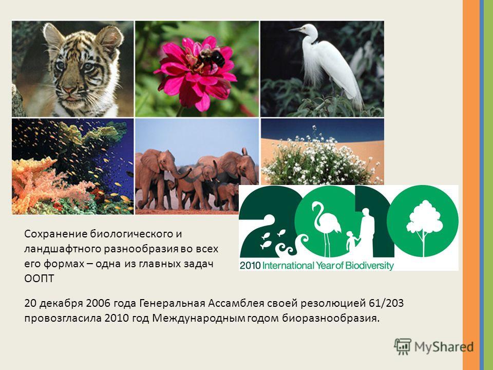 План по сохранению биоразнообразия