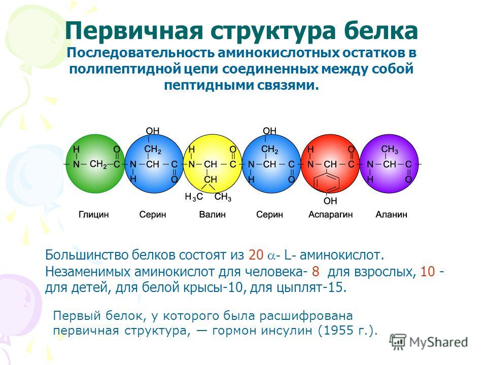 Каждый белок имеет индивидуальную последовательность расположения Презентация на тему: "Руководитель Учитель МБОУ "Атлашевская СОШ" Алихметкина Ди