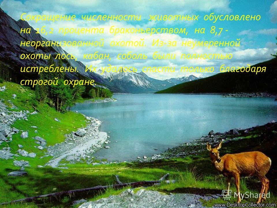 Сочинение На Тему Берегите Природу 7 Класс Сочинение На Тему Берегите Природу 7 Класс