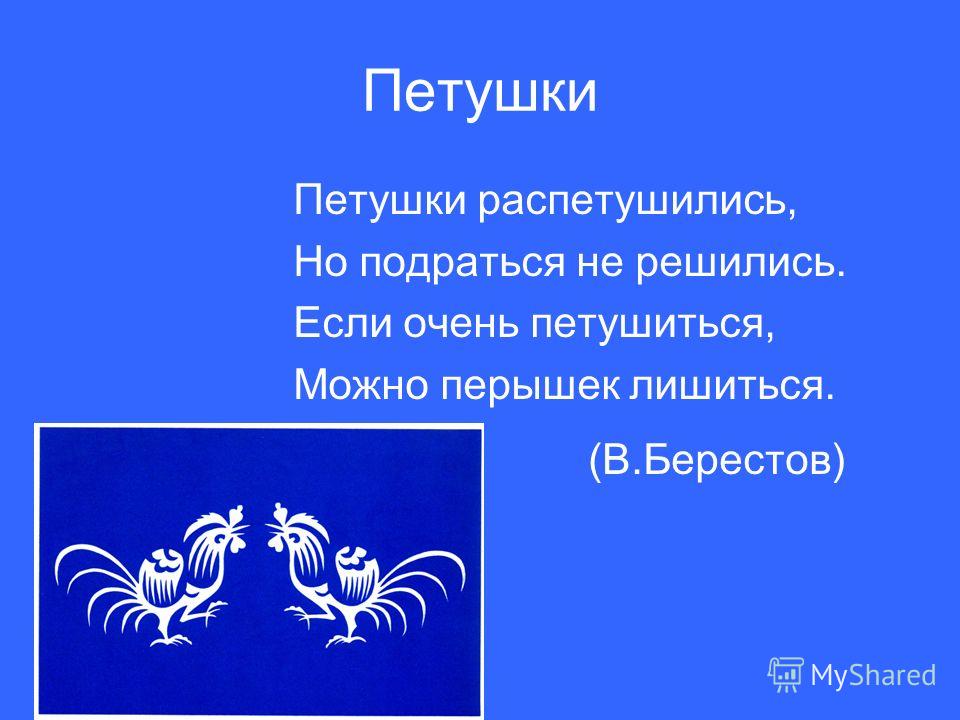Петухи стих петухи распетушились но подраться не решились Петухи стих петухи распетушились но подраться не решились