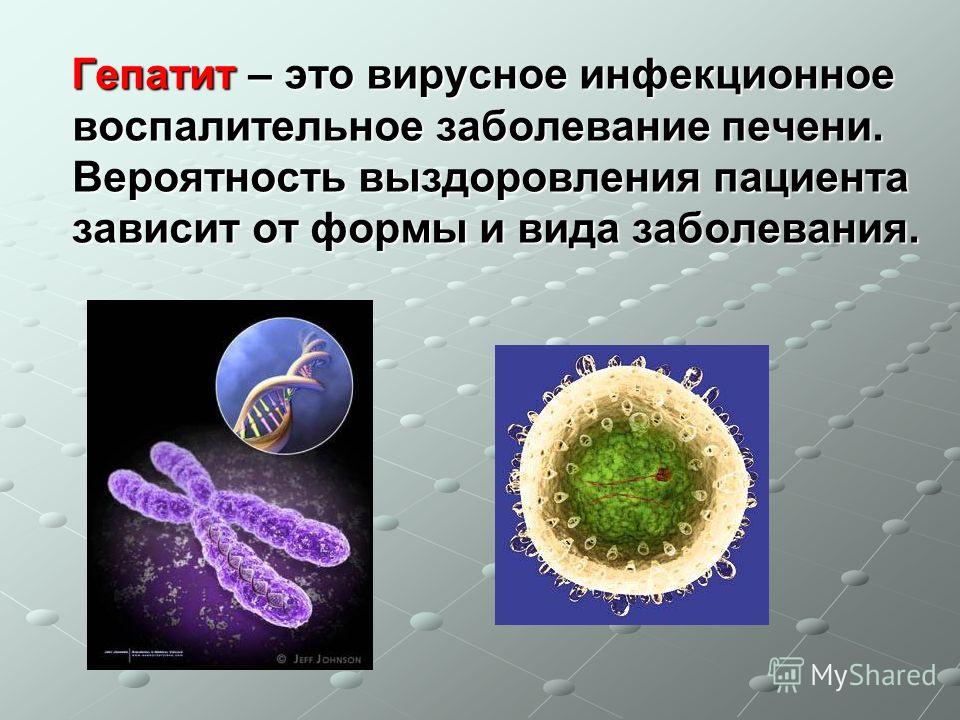 Новейшие препараты в лечении печени