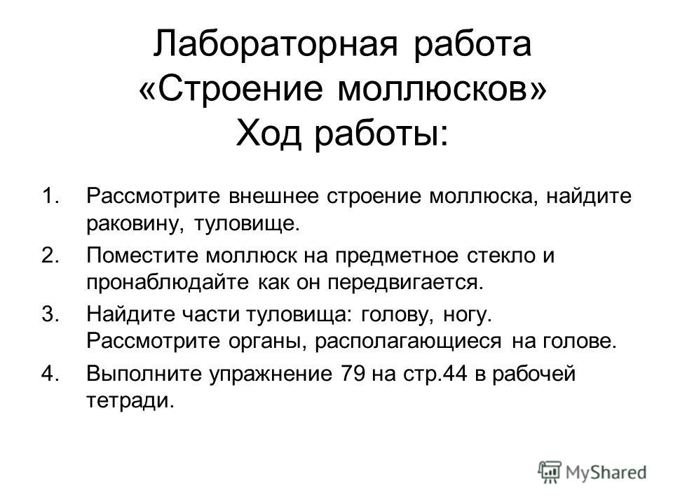 Курсовая работа по теме Практическое значение моллюсков