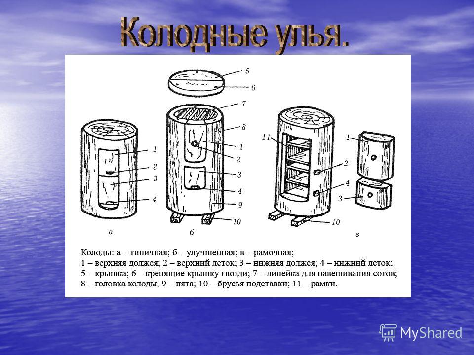 Расположение сот в колоде относительно летка Улей колода чертежи - TouristMaps.ru