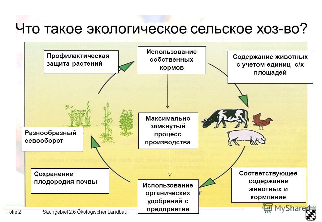 Возникновение экологических проблем связанных с сельским хозяйством Возникновение экологических проблем связанных с сельским хозяйством