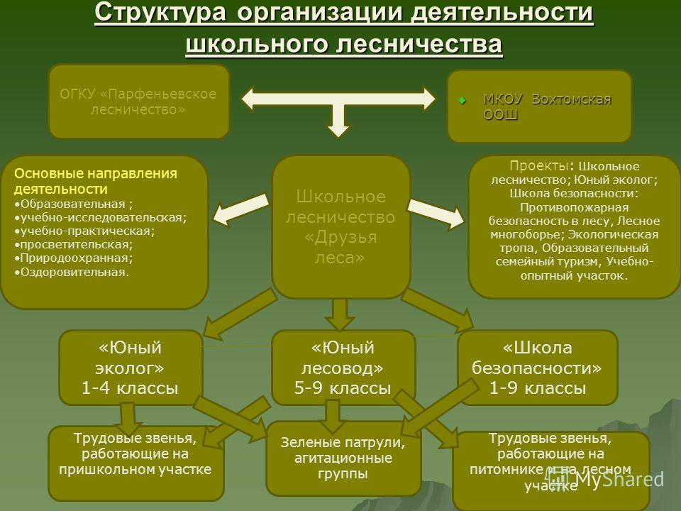Экологическое воспитание Муниципальное бюджетное образовательное учреждение допо