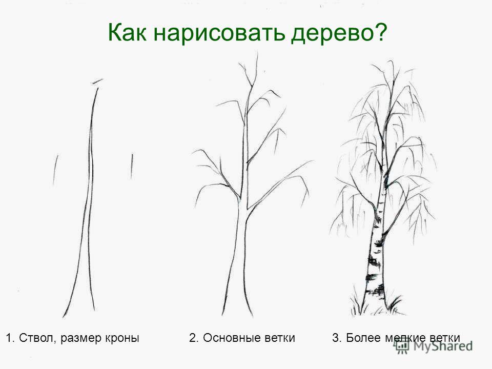 Рисование с натуры листьев деревьев конспект урока 1 класс