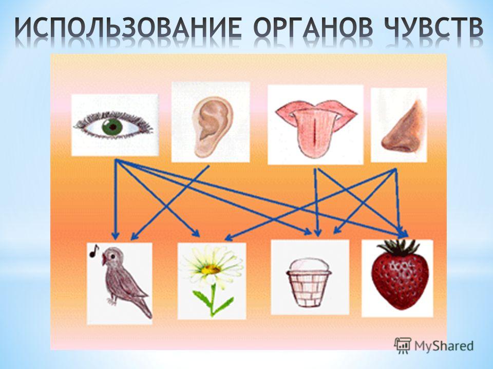 3 чувство