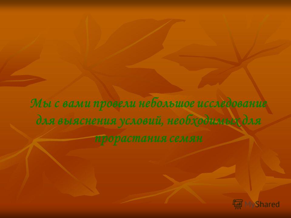 6 Класс Презентация Условия Прорастания Семян