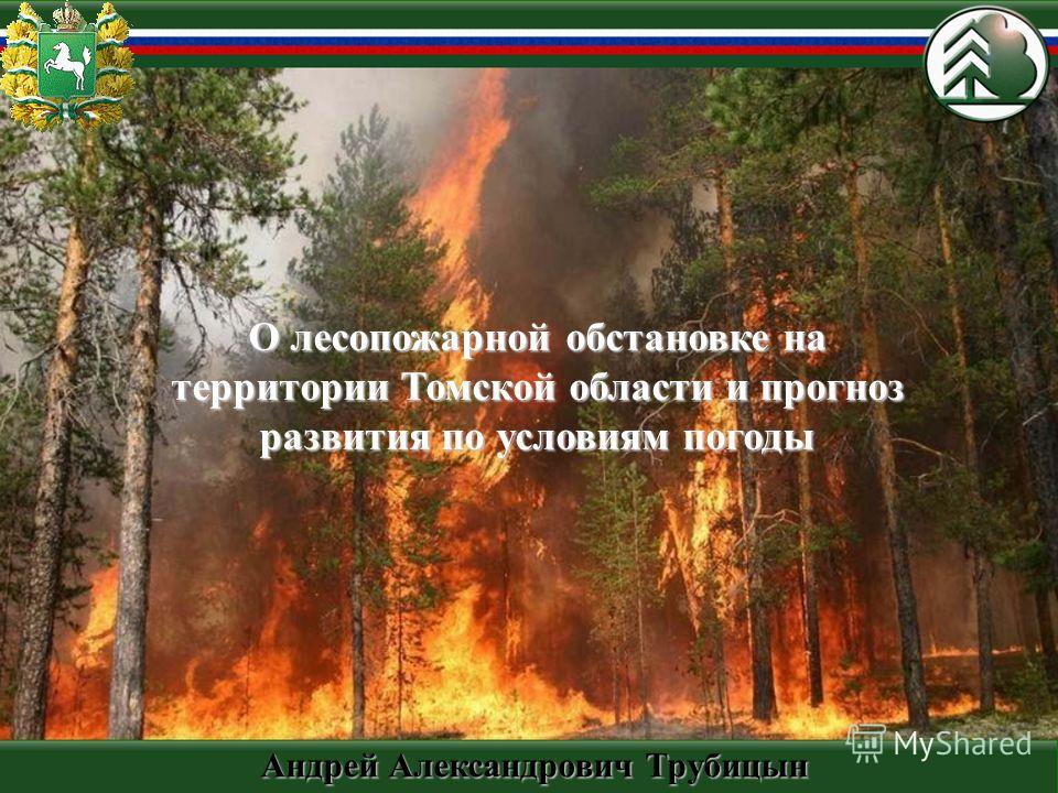Погода в отрадном на неделю
