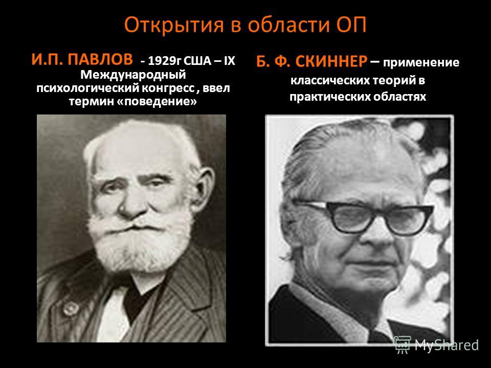 bf skinner essay bf skinner essay