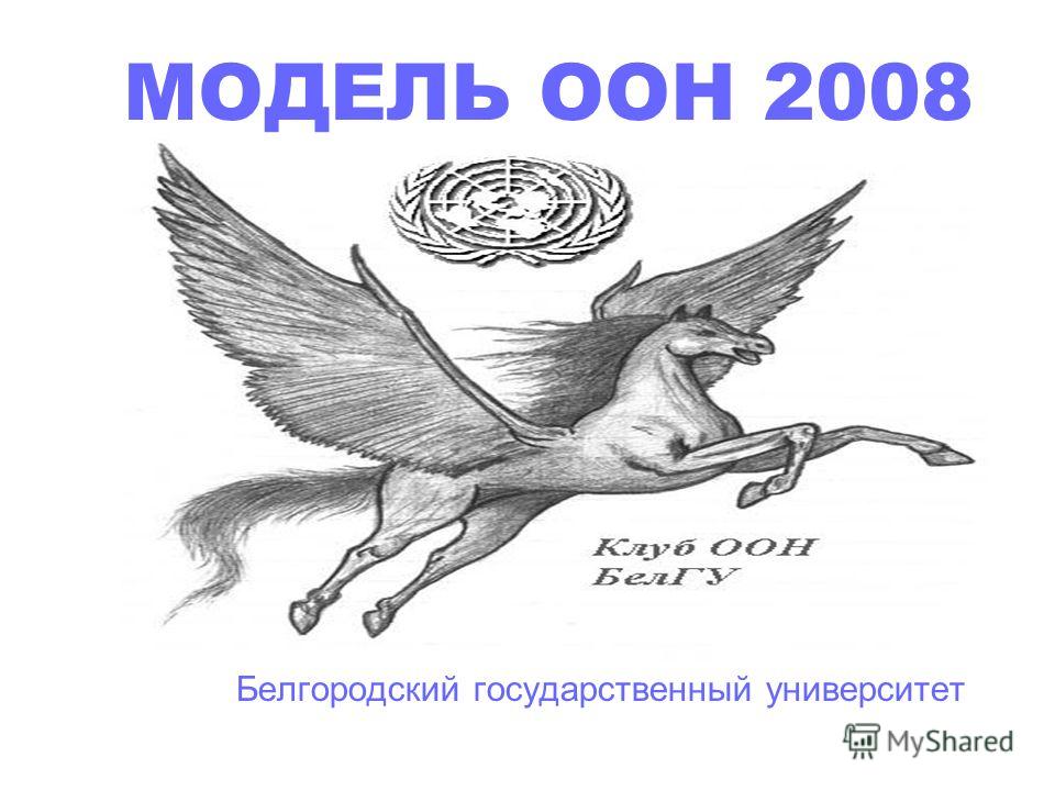 МОДЕЛЬ ООН 2008 Белгородский государственный университет