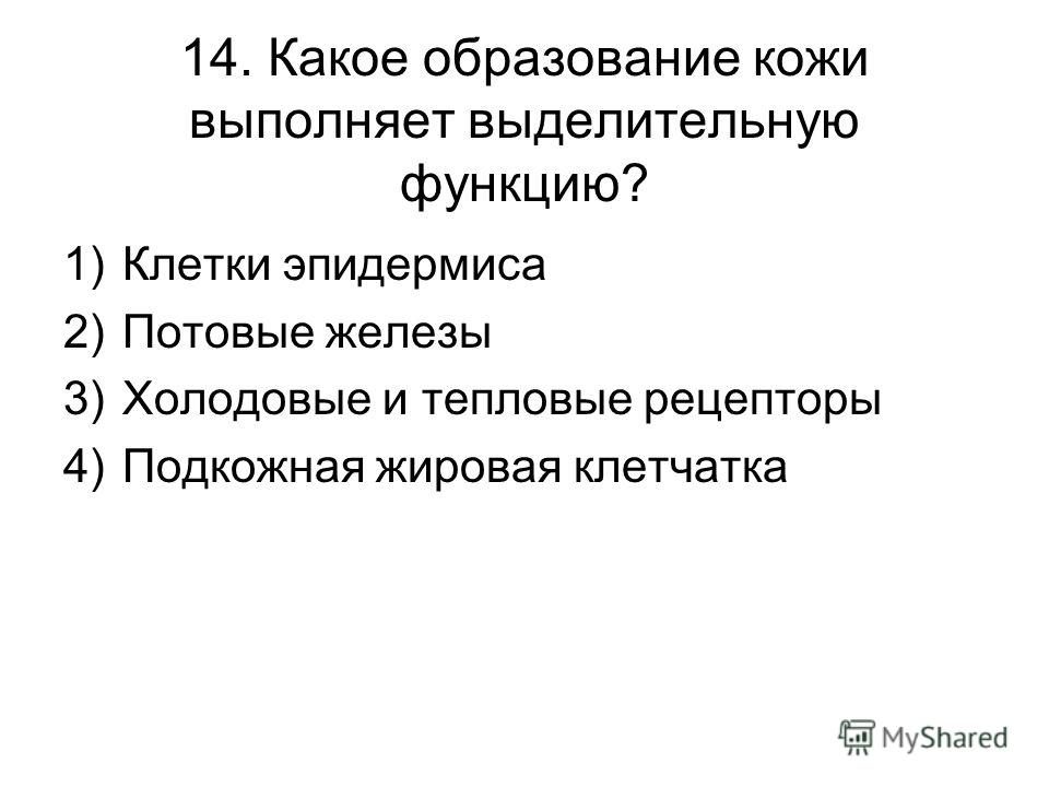 Какое образование кожи выполняет выделительную функцию Какое образование кожи выполняет выделительную функцию