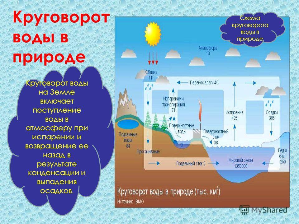 Значение воды в природе схема фото 760