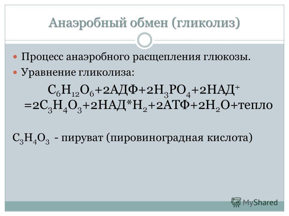 Презентация по биологии 10 класс энергетический обмен