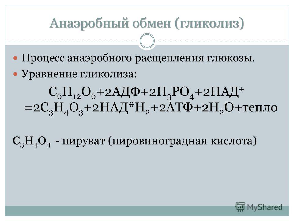 Гликолиз урок биологии10 класс