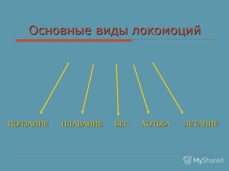 Доклад движение животных и растений 6959
