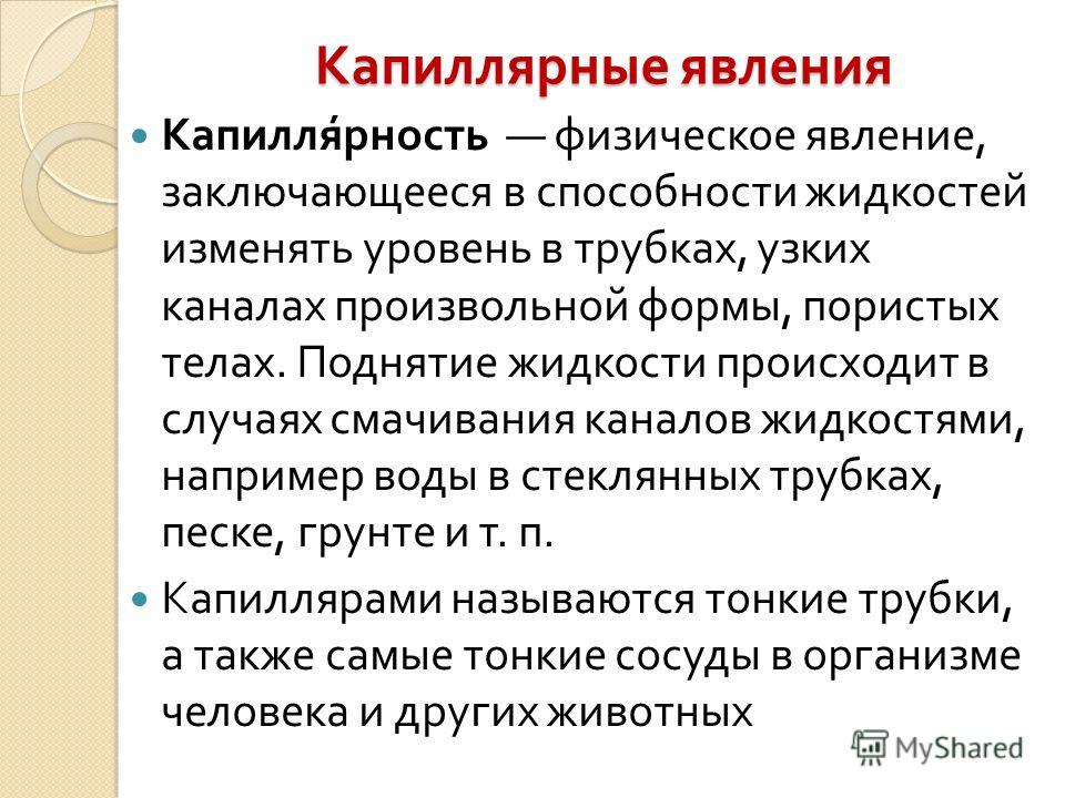 Примеры капиллярного эффекта в сосудистом растении
