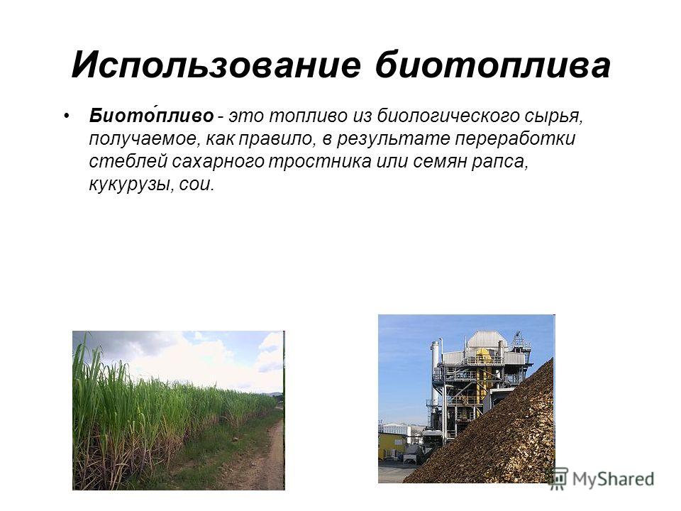 Использование биотоплива Биото́пливо - это топливо из биологического сырья, получаемое, как правило, в результате переработки стеблей сахарного тростника или семян рапса, кукурузы, сои.