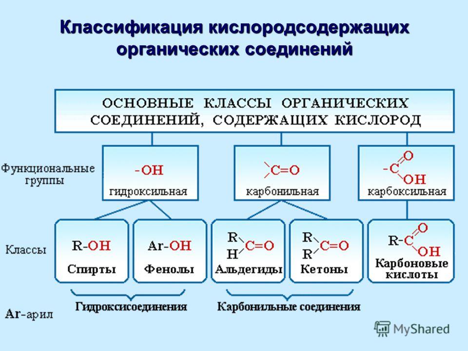 Алкины 10 класс тест