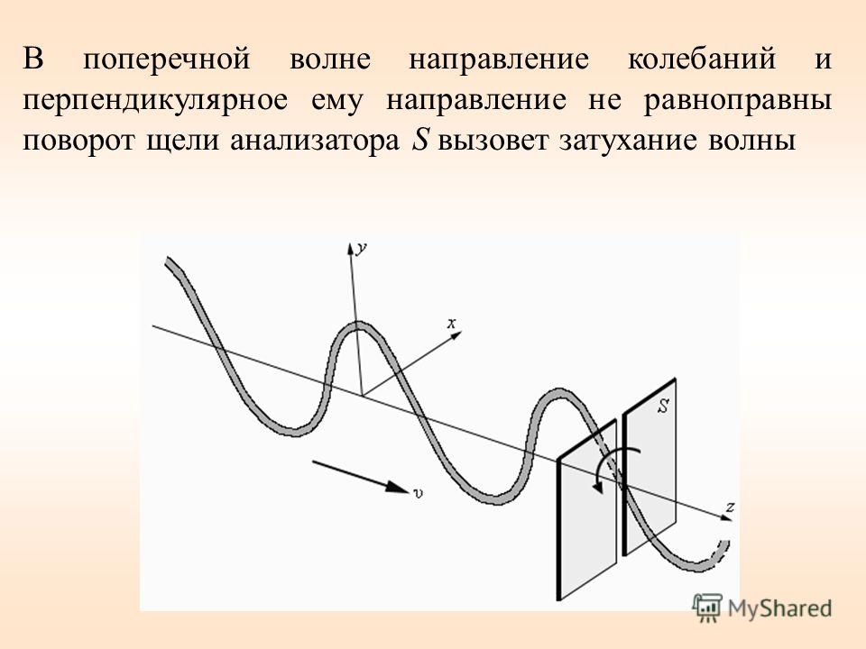 В поперечной волне направление колебаний и перпендикулярное ему направление не равноправны поворот щели анализатора S вызовет затухание волны