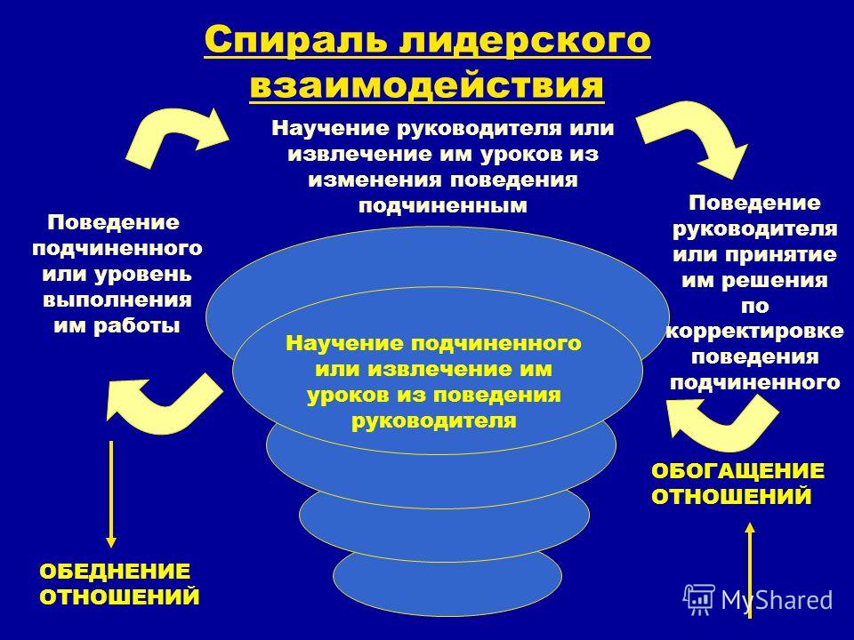 buy coherence therapy practice manual training