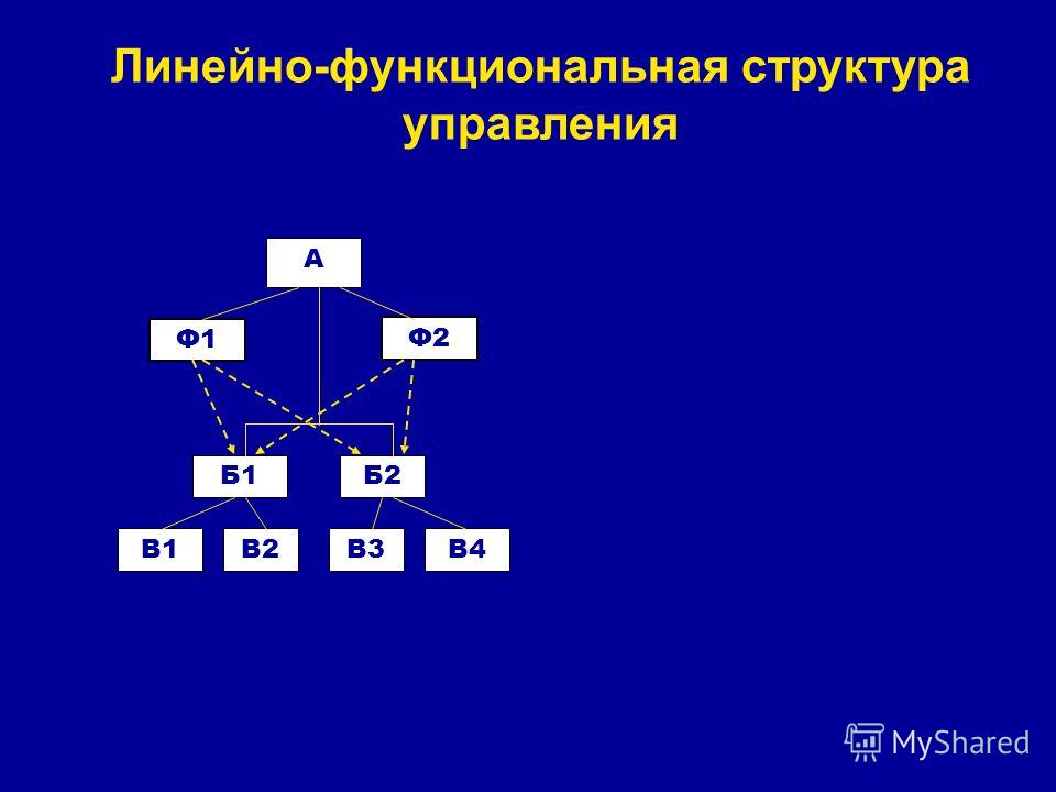 А Ф1 Ф2 Б1Б2 В1В2В3В4 Линейно-функциональная структура управления