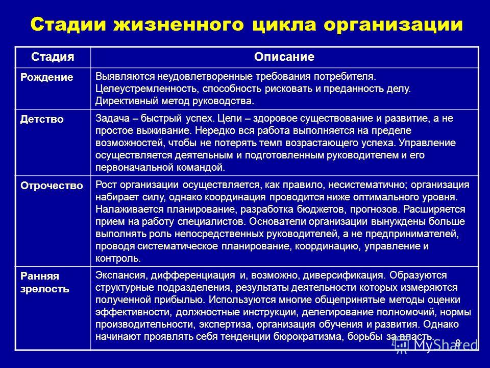 Реферат На Тему Жизненный Цикл Организации Реферат На Тему Жизненный Цикл Организации
