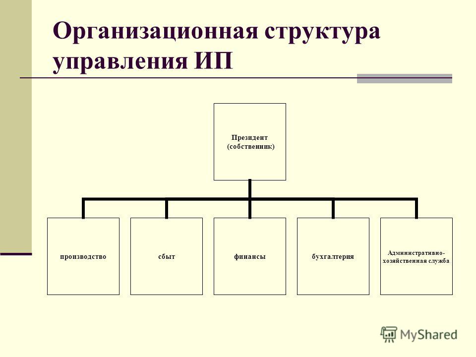 схема организационная структура ип