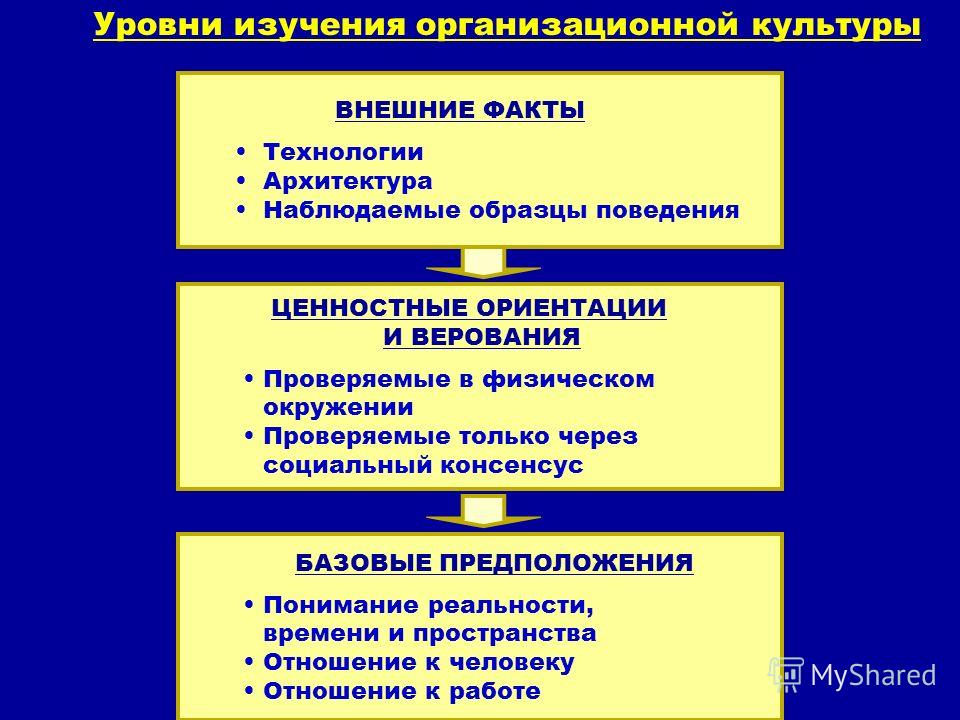 Рефераты По Дисциплине Организационная Культура