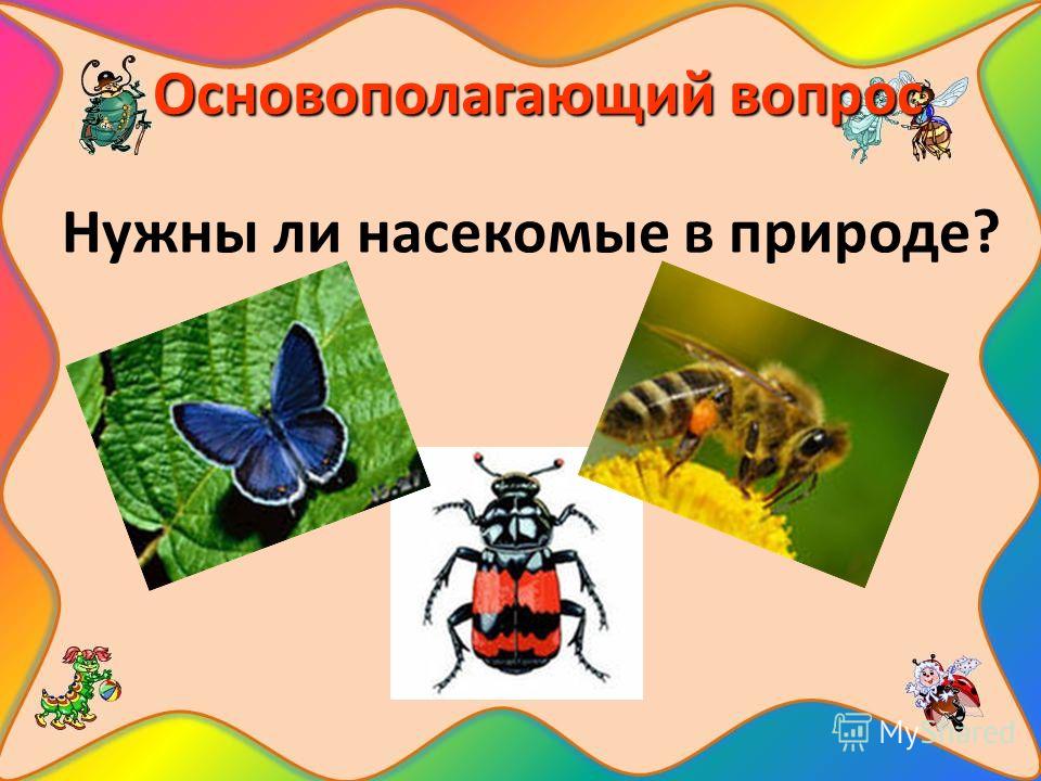 Звуки природы насекомые скачать бесплатно
